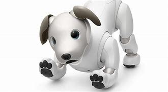 Image result for Aibo Toys