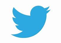 Image result for New Twitter 2019