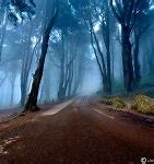 Image result for Long and Winding Road Meme