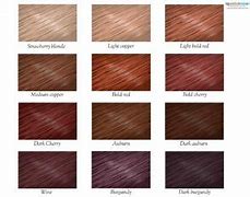 Image result for Auburn Hair Color Chart