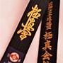 Image result for Kyokushin Karate Black Belt