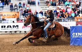 Image result for Barrel Racing Horse Wallpaper