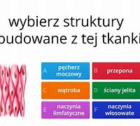 Image result for co_oznacza_zwientje_tikken