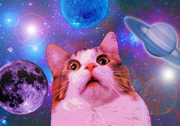 Image result for 1080P Galaxy Cat Wallpaper