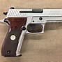Image result for Sig P226 Stainless