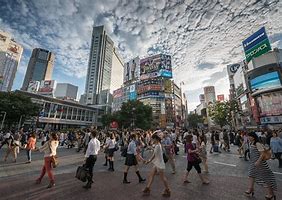 Image result for Shibuya Arc
