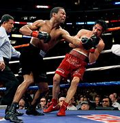 Image result for Boxing Stock Images