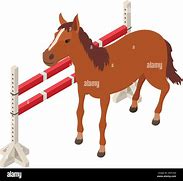 Image result for Racing Horse Outline Icon