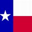 Image result for Texas Logo Design