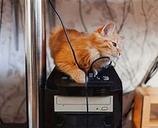 Image result for How to Fix Laptop Charger That Cat Chewed