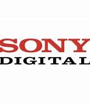 Image result for Sony Property Logo