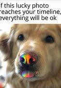 Image result for It Will Be Okay Meme
