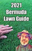 Image result for What Type of Bermuda Grass Do I Have