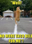 Image result for Cracked Taco Shells Memes