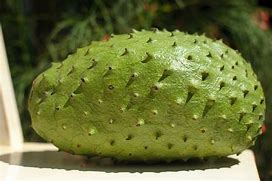 Image result for soursop