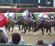 Image result for Just FYI Breeders' Cup