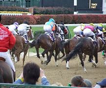 Image result for Breeders' Cup