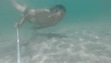 Image result for Mermaid Code Comment
