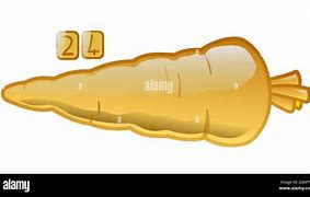 Image result for 24 Carrot Real Gold