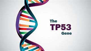 Image result for TP53 PTEN Gene Mutation