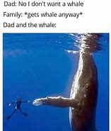Image result for This Is Fine Underwater Meme