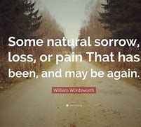 Image result for Pain and Sorrow Quotes