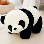 Image result for Panda Bear Plushies