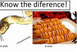 Image result for Good Snek Meme