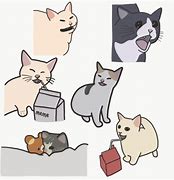 Image result for Shock Crying Cat Meme