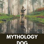 Image result for Mythical Dog Creatures