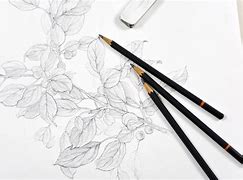 Image result for Draw a Pencil