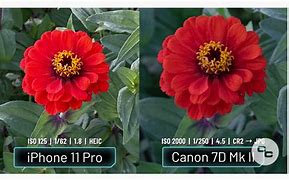 Image result for iPhone vs DSLR Camera
