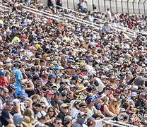 Image result for Wild Race Fans