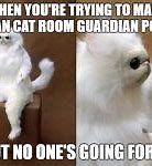 Image result for Persian Cat Room Guardian Meme Generator