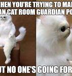 Image result for Persian Cat Room Guardian Meme