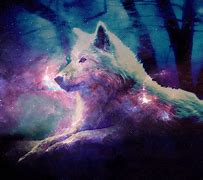 Image result for Purple Galaxy Wolf Cute