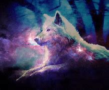 Image result for Galaxy Wolf Background for Computer