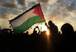 Image result for Free Palestine Aesthetic Wallpaper