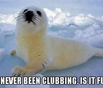Image result for Seal Clubbing Meme