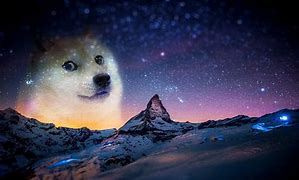 Image result for Space Doge