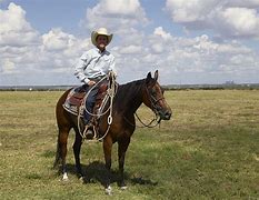 Image result for cowboy costume