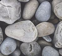 Image result for Striated Pebble