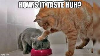 Image result for Cat Bully Meme