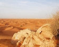 鲁卜哈利沙漠 的图像结果