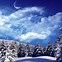 Image result for Blue Winter Wonderland Background