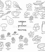 Image result for 7 Types of Vegetarians