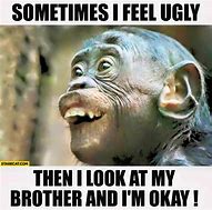 Image result for Ugly Brother Meme