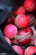 Image result for Cricket Bag Johannesburg