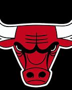Image result for Chicago Bulls Logo 400X400