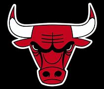 Image result for Chicago Bulls Logo History